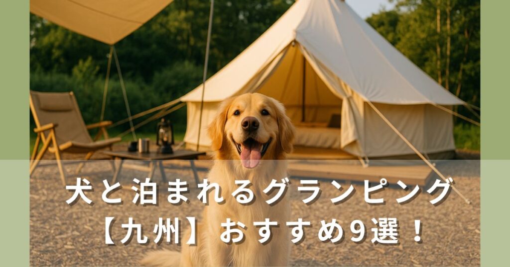 犬と泊まれるグランピング【九州】おすすめ9選｜ドッグラン・温泉・海が楽しめる癒し旅