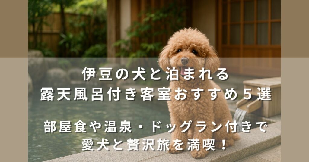伊豆の犬と泊まれる宿×露天風呂付き客室【おすすめ５選】｜部屋食もOK愛犬と泊まれる人気宿を紹介！