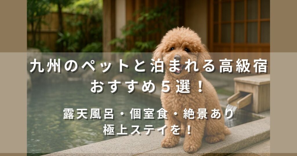 ペットと泊まれる高級宿×九州【7選】露天風呂付客室・部屋食が選べる愛犬と贅沢な温泉旅を叶える宿まとめ
