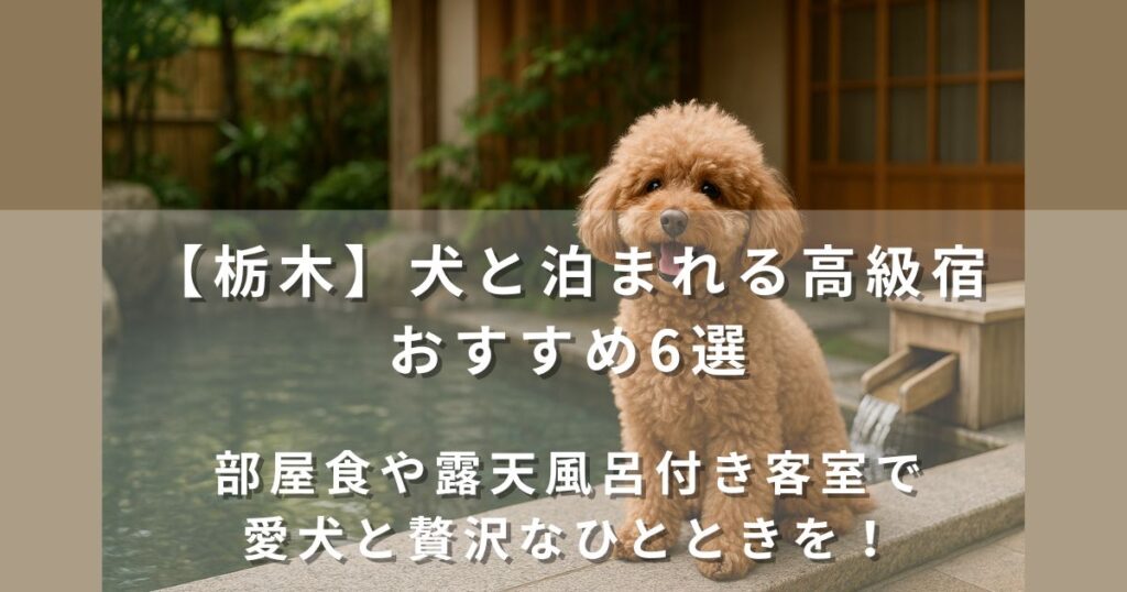 栃木で犬と泊まれる高級宿おすすめ6選|部屋食や露天風呂付き客室で愛犬と贅沢なひとときを