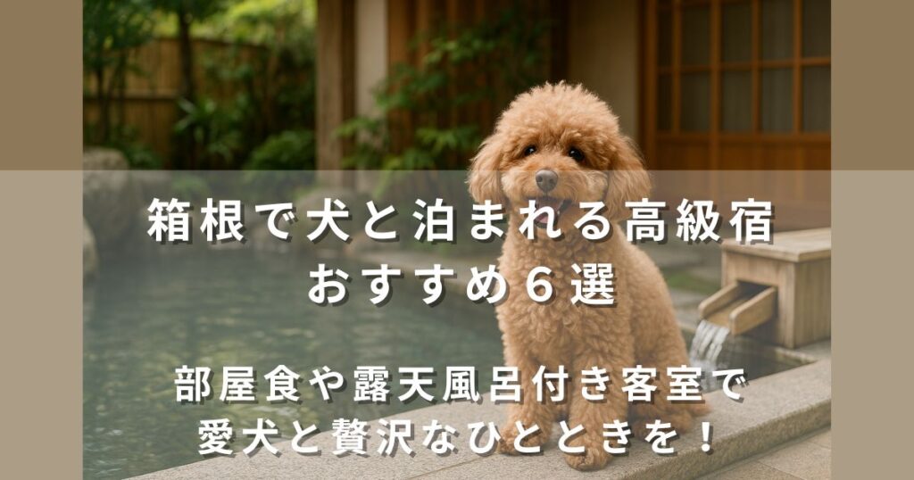 箱根で犬と泊まれる高級宿おすすめ６選|部屋食や露天風呂付き客室で愛犬と贅沢なひとときを